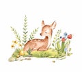 Cute Watercolor Baby Deer with the blue ribbon surrounded by wild flowers and mushrooms over white. Baby Deer sleeping