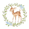 Cute Watercolor Baby Deer surrounded by wild forest plants wreath. Full Profile Baby Deer over white. Isolated. Nursery