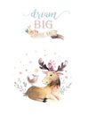 Cute watercolor bohemian baby moose animal poster for nursary, alphabet woodland isolated forest illustration for