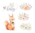 Cute watercolor bohemian baby squirrel animal poster for nursary with bouquets, alphabet woodland isolated forest