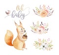 Cute watercolor bohemian baby squirrel animal poster for nursary with bouquets, alphabet woodland isolated forest Royalty Free Stock Photo