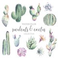 cute watercolor cactus suculent collection design illustration