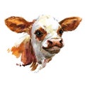 Cute watercolor calf. Baby bull illustration. cattle. farm animal. Royalty Free Stock Photo