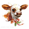 Cute watercolor calf. Baby bull illustration. cattle. farm animal. Royalty Free Stock Photo