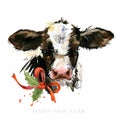 Cute watercolor calf. Baby bull illustration. cattle. farm animal.