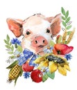 Cute watercolor cartoon pig. farm animal illustration. funny piggy Royalty Free Stock Photo