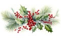 Cute watercolor Christmas wreath from green twigs and mistletoe branches isolated on white background. Decoration for Royalty Free Stock Photo