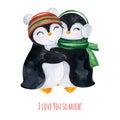 Cute watercolor embracing penguins in winter knitted clothes