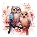 Cute watercolor family Owls illustration painting on white background