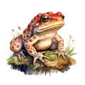Cute watercolor frog illustration, woodland animals clipart Royalty Free Stock Photo