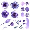 Cute watercolor hand painted flower elements. Royalty Free Stock Photo