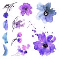Cute watercolor hand painted flower elements Royalty Free Stock Photo