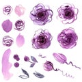 Cute watercolor hand painted flower elements. Royalty Free Stock Photo