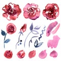 Cute watercolor hand painted flower Royalty Free Stock Photo