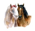 Watercolor cute horses. Funny illustration