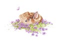 Cute watercolor illustration baby dappled deer with purple flowers and butterfly. For children design clothing, fabric pattern. Wi Royalty Free Stock Photo