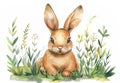 cute watercolor illustration of fluffy bunny with green plants on white background