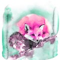 Cute watercolor illustration with pink red fox. Fluffy beast sleeps sweetly