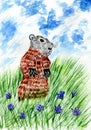 Cute Watercolor Marmot