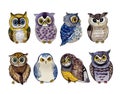 Watercolor beautiful owls on the white background. Animal watercolor silhouette sketch