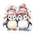 Cute watercolor penguins wearing christmas clothes and hat illustration for christmas