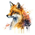 Cute watercolor portrait of a fox. Watercolor vector drawing made by hand. Fox Royalty Free Stock Photo