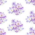 Cute watercolor print of purple crocuses. Hand drawn illustration. Seamless pattern, print for fabric, wrapping paper. Spring wate