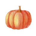 Cute watercolor pumpkin illustration. Hand drawn autumn hygge harvest Halloween