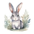 Cute watercolor rabbit illustration