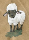 Cute watercolor sheep on a white background. Royalty Free Stock Photo