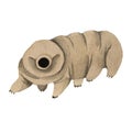 Cute watercolor tardigrades, water bear. Walking pose