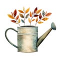 Cute watercolor watering can floral leaves in autumn fall colors, illustration