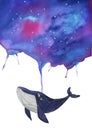 Cute watercolor whale with stars and cosmos design. Isolated. Use for card, postcard, t shirt etc. Hand drawing