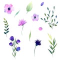 Cute watercolors botanical flowers and leaves set