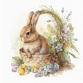 Cute watercolour little rabbit with a bow ribbon on neck in basket with easter eggs, flowers, on white background in Royalty Free Stock Photo