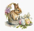 Cute watercolour little rabbit with a bow ribbon on neck in basket with easter eggs, flowers, on white background in Royalty Free Stock Photo