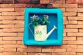 Cute watering can with flower on the space of the center of br Royalty Free Stock Photo