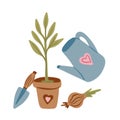 Cute watering can with green plants growing, spring and gardening concept