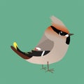 A cute waxwing comic illustration
