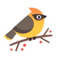 Cute waxwing illustration