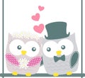 Cute wedding owls couple