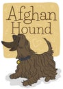 Well Trained Afghan Hound Dog Waiting with Doodles, Vector Illustration Royalty Free Stock Photo