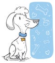 Well Trained Poodle with some Funny Doodles, Vector Illustration Royalty Free Stock Photo