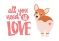 Cute welsh corgi with heart on his back and All You Need Is Love ironic slogan or phrase handwritten with elegant Royalty Free Stock Photo