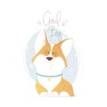 Cute welsh corgi with lettering good boy. Funny vector illustration. Portrait of a dog for decoration and design. Royalty Free Stock Photo