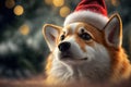 Cute Welsh Corgi in Santa hat. Little pet on blured bokeh background. Generative AI