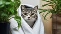 Cute wet cat wrapped in white towel after a bath in a bathroom with houseplants.Generative AI Royalty Free Stock Photo