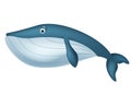 Cute whale cartoon