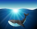 Cute whale cartoon on the sea Royalty Free Stock Photo