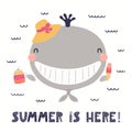 Cute whale in summer Royalty Free Stock Photo